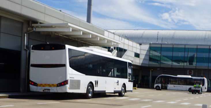 Carbridge Mercedes O500LE Mills-Tui 19 & Optare Solo SR 81